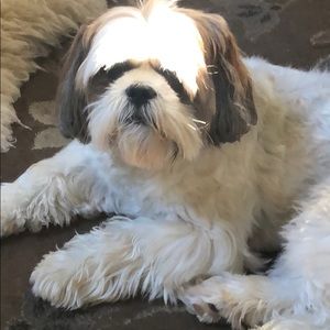 Meet your Posher, Rhonda